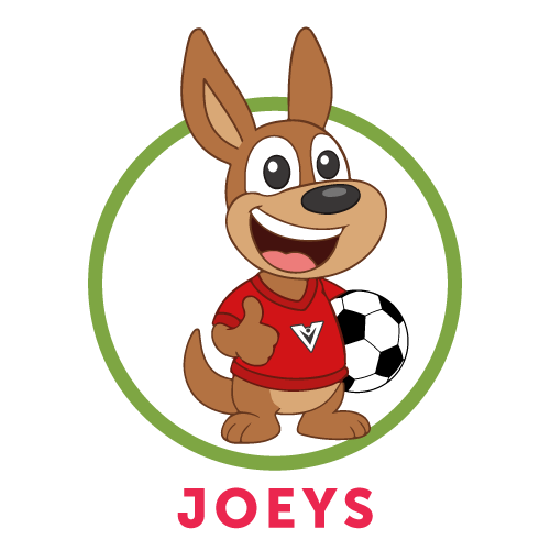 Cartoon kangaroo wearing a red shirt gives a thumbs up and stands with a soccer ball, inside a yellow circle. The word WALLABIES is written in bold pink letters below.
