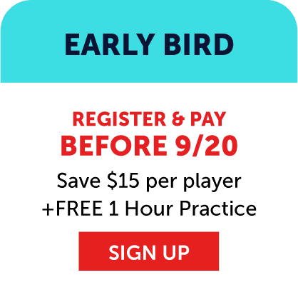 Early bird offer: Register and pay before 9/20 for Vetta Sports youth soccer league registration to save $15 per player and get a free 1-hour practice. Red Sign Up button at the bottom.