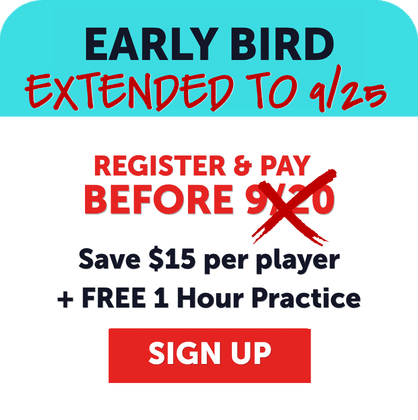 Early Bird extended to 9/25! Register and pay for the Vetta Sports youth soccer league registration before 9/25 to save $15 per player and get a free 1-hour practice. Look for the red Sign Up button at the bottom.